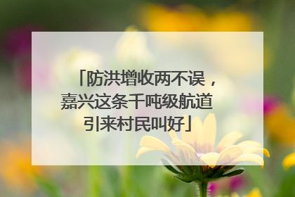 防洪增收两不误，嘉兴这条千吨级航道引来村民叫好