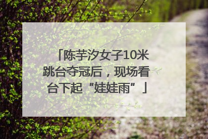 陈芋汐女子10米跳台夺冠后，现场看台下起“娃娃雨”