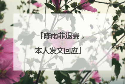 陈雨菲退赛，本人发文回应