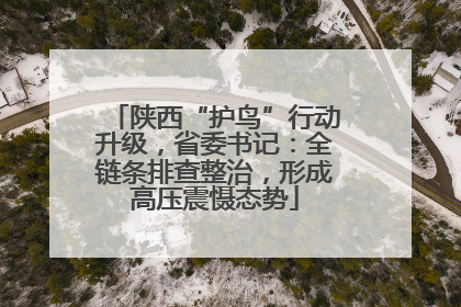 陕西“护鸟”行动升级，省委书记：全链条排查整治，形成高压震慑态势
