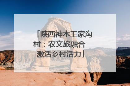 陕西神木王家沟村：农文旅融合 激活乡村活力