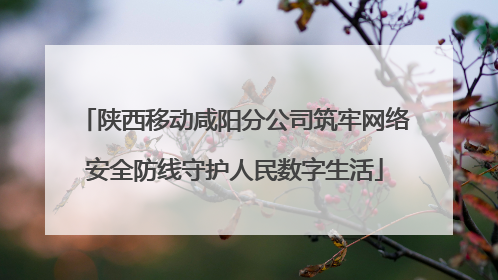 陕西移动咸阳分公司筑牢网络安全防线守护人民数字生活