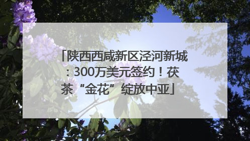 陕西西咸新区泾河新城：300万美元签约！茯茶“金花”绽放中亚