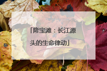 隆宝滩：长江源头的生命律动