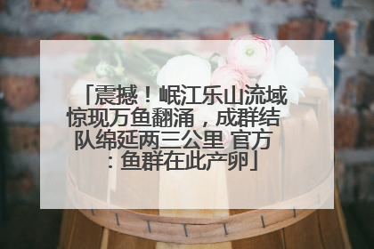 震撼！岷江乐山流域惊现万鱼翻涌，成群结队绵延两三公里 官方：鱼群在此产卵