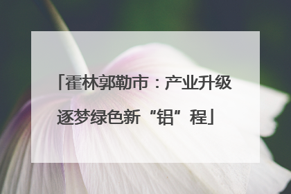 霍林郭勒市：产业升级逐梦绿色新“铝”程