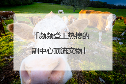 频频登上热搜的副中心顶流文物