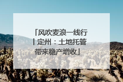 风吹麦浪一线行丨定州：土地托管带来稳产增收