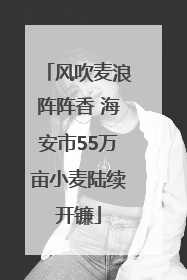 风吹麦浪阵阵香 海安市55万亩小麦陆续开镰