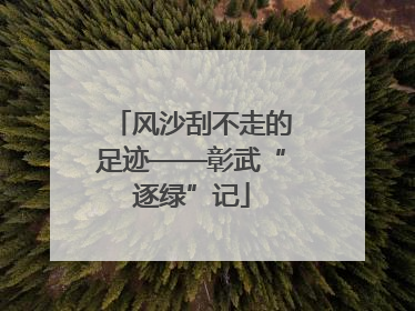 风沙刮不走的足迹——彰武“逐绿”记