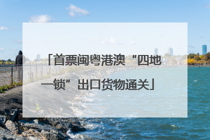首票闽粤港澳“四地一锁”出口货物通关