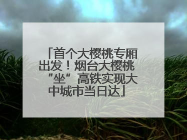 首个大樱桃专厢出发！烟台大樱桃“坐”高铁实现大中城市当日达