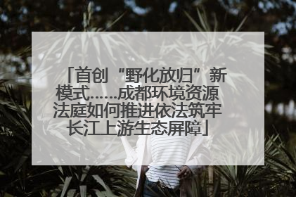首创“野化放归”新模式……成都环境资源法庭如何推进依法筑牢长江上游生态屏障