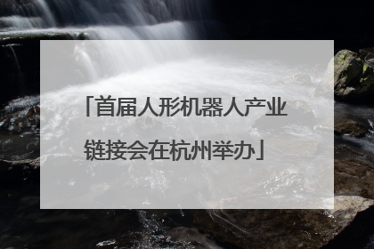 首届人形机器人产业链接会在杭州举办