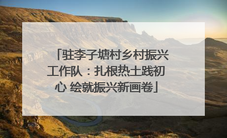 驻李子塘村乡村振兴工作队：扎根热土践初心 绘就振兴新画卷
