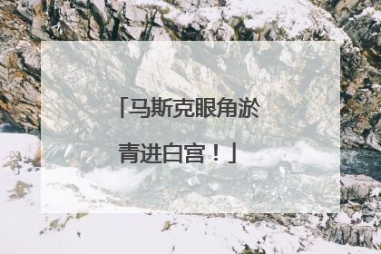 马斯克眼角淤青进白宫！
