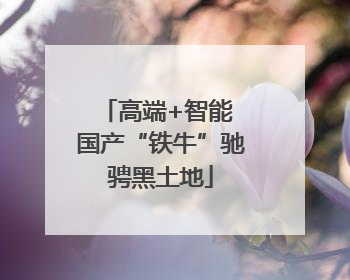 高端+智能 国产“铁牛”驰骋黑土地
