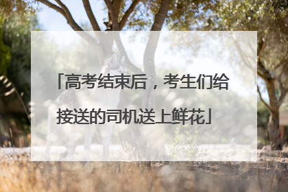 高考结束后，考生们给接送的司机送上鲜花
