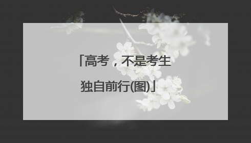 高考，不是考生独自前行(图)