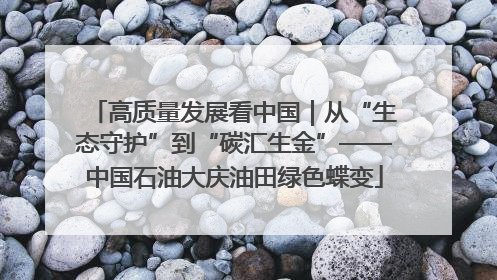 高质量发展看中国｜从“生态守护”到“碳汇生金”——中国石油大庆油田绿色蝶变