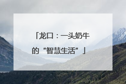 龙口：一头奶牛的“智慧生活”