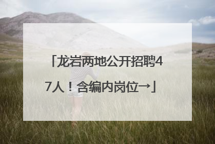 龙岩两地公开招聘47人！含编内岗位→