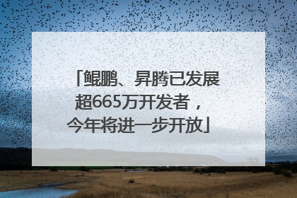 鲲鹏、昇腾已发展超665万开发者，今年将进一步开放