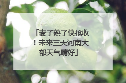 麦子熟了快抢收！未来三天河南大部天气晴好