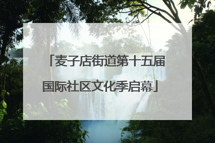 麦子店街道第十五届国际社区文化季启幕