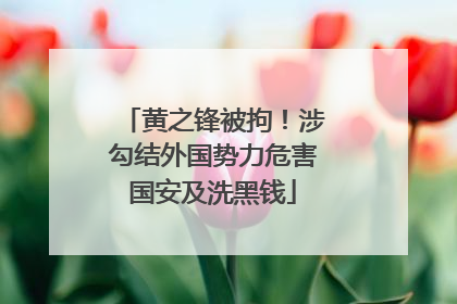 黄之锋被拘！涉勾结外国势力危害国安及洗黑钱