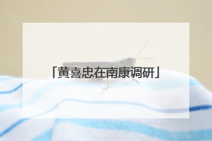 黄喜忠在南康调研