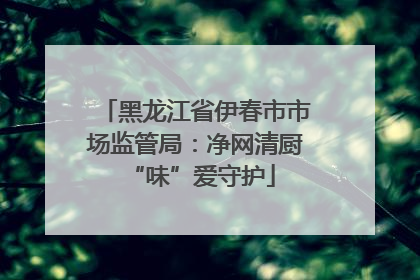 黑龙江省伊春市市场监管局：净网清厨 “味”爱守护