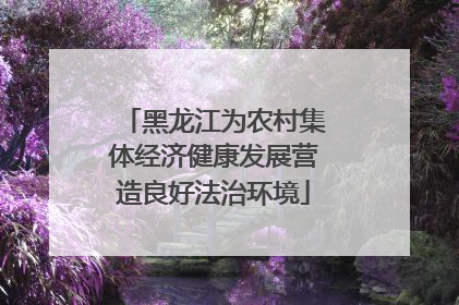 黑龙江为农村集体经济健康发展营造良好法治环境