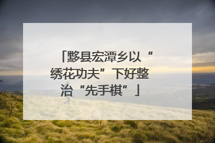 黟县宏潭乡以“绣花功夫”下好整治“先手棋”