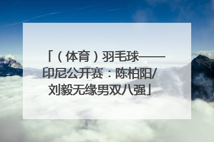 （体育）羽毛球——印尼公开赛：陈柏阳/刘毅无缘男双八强