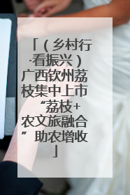 （乡村行·看振兴）广西钦州荔枝集中上市 “荔枝+农文旅融合”助农增收