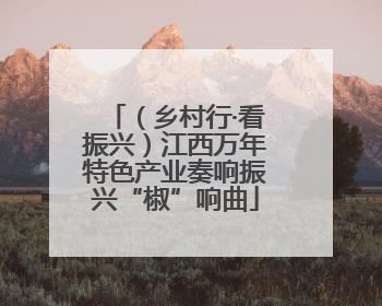 （乡村行·看振兴）江西万年特色产业奏响振兴“椒”响曲