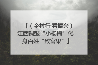 （乡村行·看振兴）江西铜鼓“小杨梅”化身百姓“致富果”