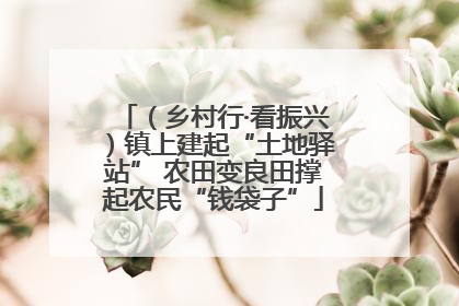 （乡村行·看振兴）镇上建起“土地驿站” 农田变良田撑起农民“钱袋子”