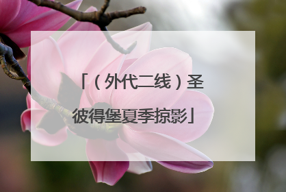 （外代二线）圣彼得堡夏季掠影