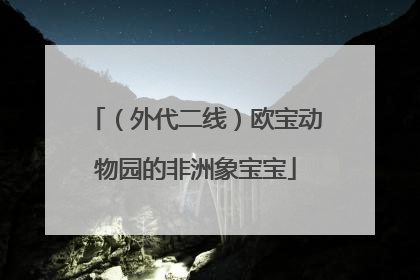 （外代二线）欧宝动物园的非洲象宝宝