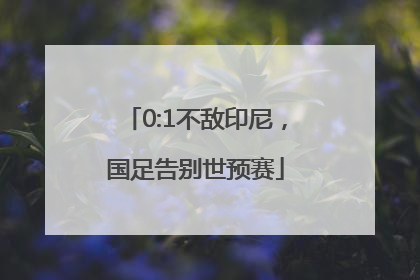 0:1不敌印尼，国足告别世预赛