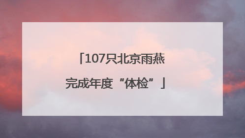 107只北京雨燕完成年度“体检”