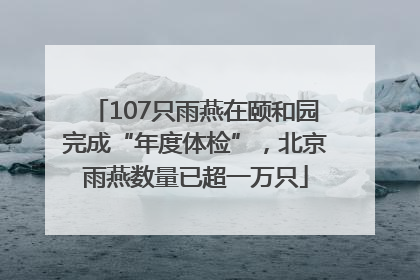 107只雨燕在颐和园完成“年度体检”，北京雨燕数量已超一万只