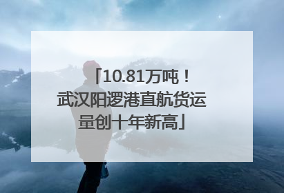 10.81万吨！武汉阳逻港直航货运量创十年新高
