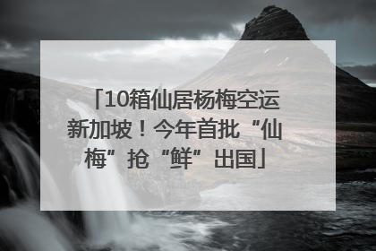 10箱仙居杨梅空运新加坡！今年首批“仙梅”抢“鲜”出国