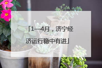 1—4月，济宁经济运行稳中有进