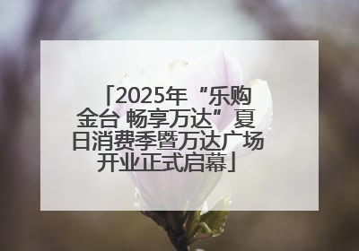 2025年“乐购金台 畅享万达”夏日消费季暨万达广场开业正式启幕