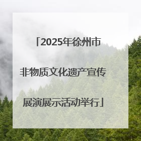 2025年徐州市非物质文化遗产宣传展演展示活动举行