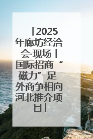 2025年廊坊经洽会·现场丨国际招商“磁力”足 外商争相向河北推介项目